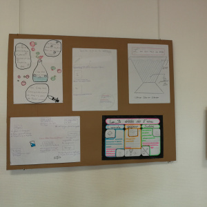 phy3